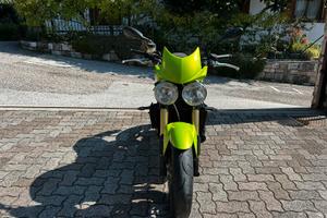 Speed triple 1050 roulette green