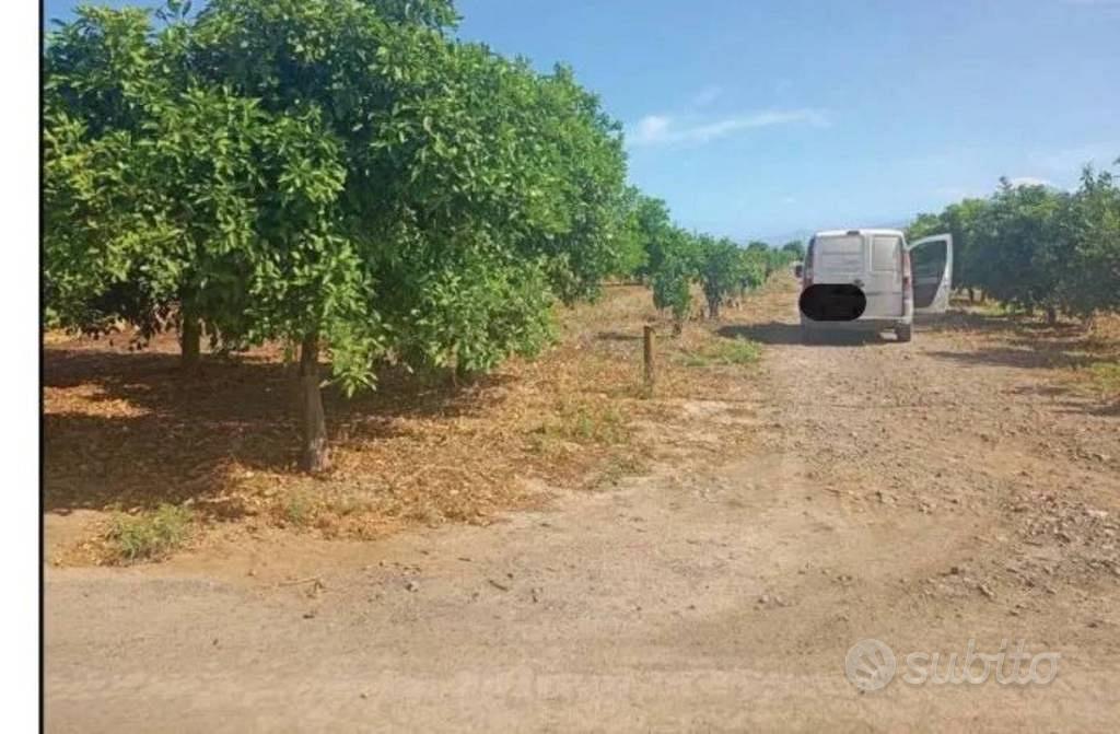 Immobile in asta di 8407 m² a Palagonia - Vista 4