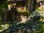 Immagine 29