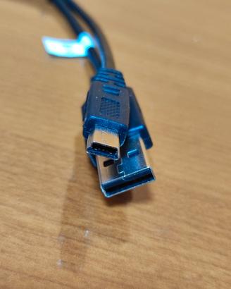Cavo USB e Mini USB 