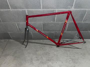 Telaio acciaio stellare aliverti