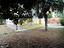 Immagine 11