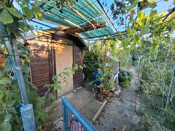 Orto recintato di proprietà seminato