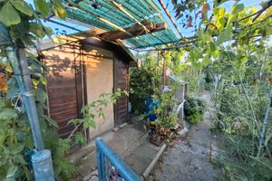 Orto recintato di proprietà seminato