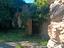 Immagine 13
