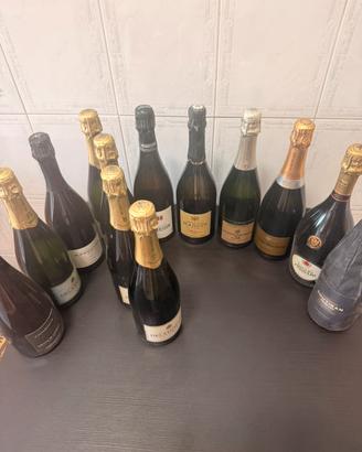 Lotto Champagne 13 bottiglie + 2 habemus