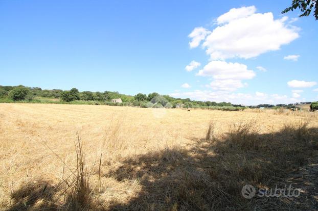 TER. AGRICOLO A POMEZIA