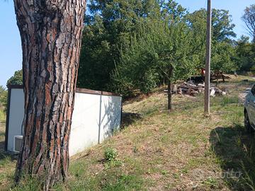 TERRENO agricolo 20.000mq VIA SALARIA 1852CAP00138