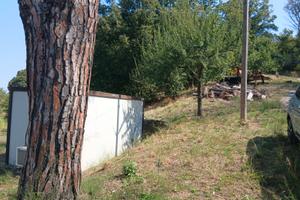 TERRENO agricolo 20.000mq VIA SALARIA 1852CAP00138