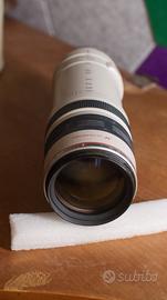Canon EF 100-400mm f/4.5-5.6 L IS USM