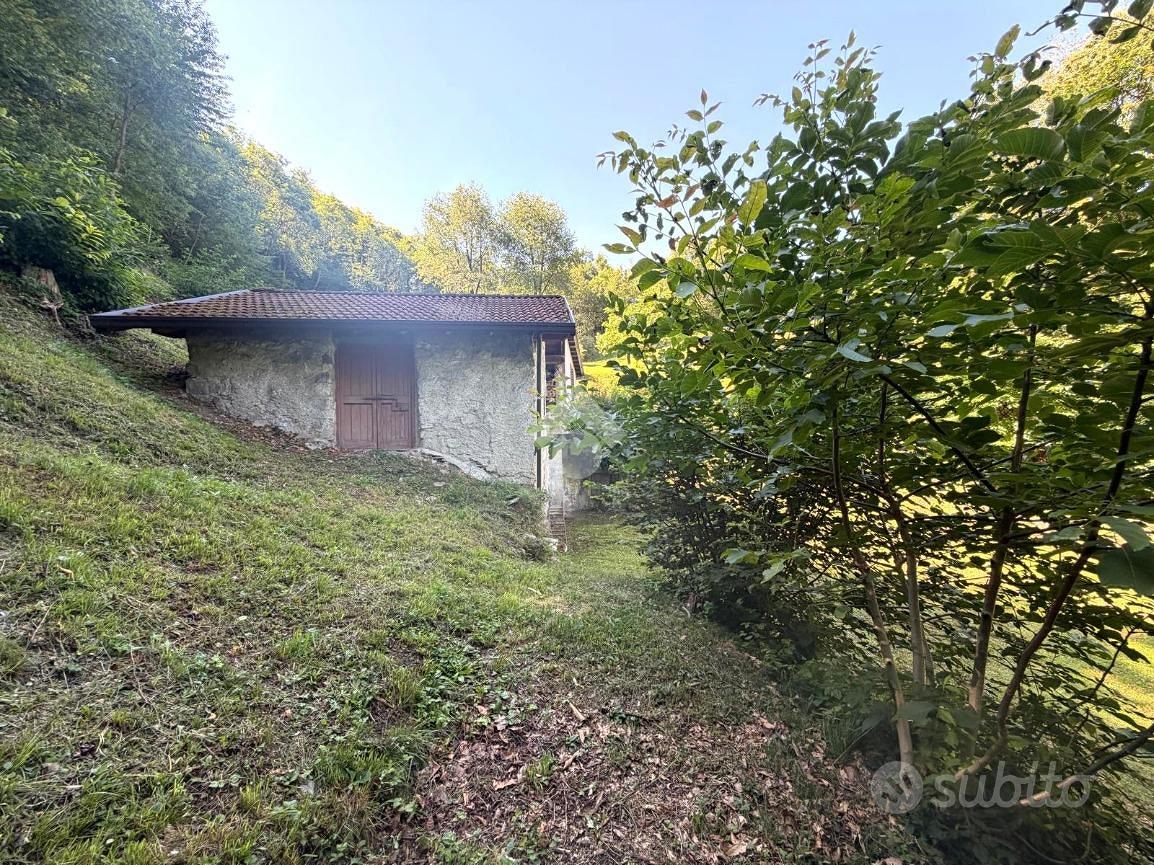 TER. AGRICOLO A BRAONE - Vista 4