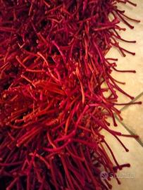 Grande tappeto Chateau dax