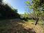 Immagine 25
