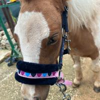 Pony femmina 75cm