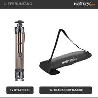 Cavalletto da pittura in alluminio