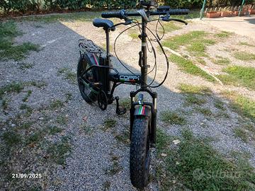 fat-ebike