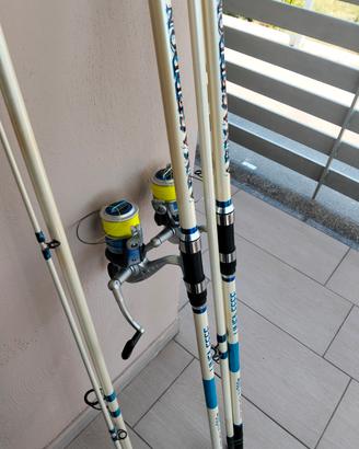 canne surfcasting 