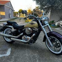 Kawasaki Vulcan 800