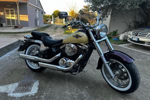 Kawasaki Vulcan 800