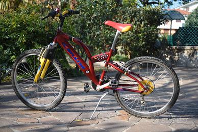 bicicletta per ragazzo