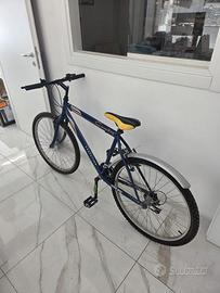 Bicicletta Country Evolution mtb