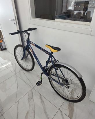 Bicicletta Country Evolution mtb