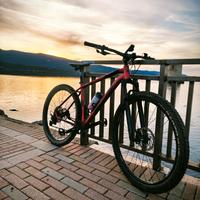 Wilier Triestina 503 x Race