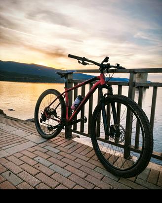 Wilier Triestina 503 x Race