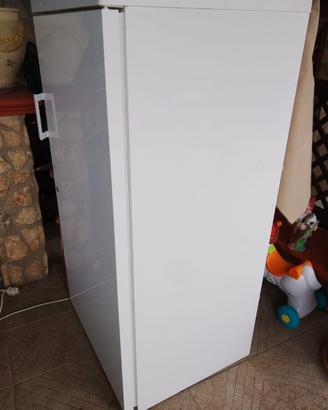 Congelatore alimenti