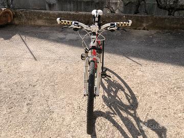 Mtb frw 29 hot sale
