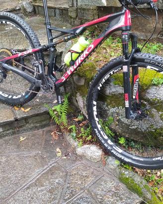 Specialized epic s works
