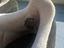 Immagine 6
