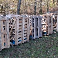 prenotazione legna da ardere 