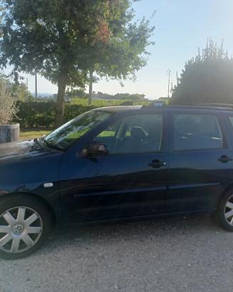 W Polo Variant