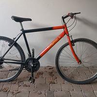 Bici Longway rossa
