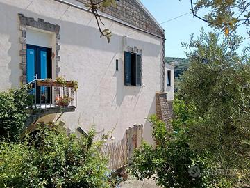 Bilocale in antico casale sulle colline di Sorrent