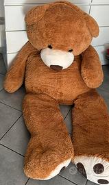 Orso peluche