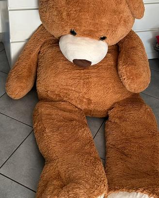 Orso peluche