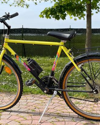 bicicletta mountain bike