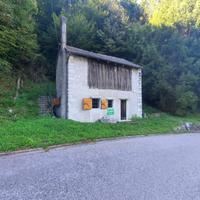 STAVOLO IMMERSO NEL VERDE