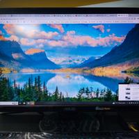 Monitor ASUS VE258Q 25 pollici COME NUOVO