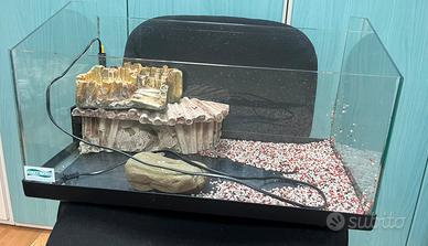 tartarughiera con accessori decorativi