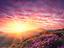 Immagine 9