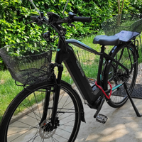 Gepida bicicletta elettrica