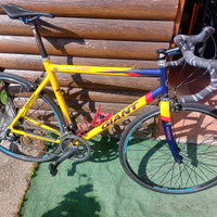 Bici Giant tcr