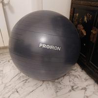 PROIRON Palla Fitness