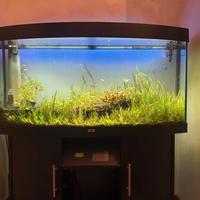 Acquario  Juwel Vision 260