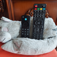 Peluche portatelecomandi