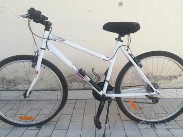 Bicicletta Bianca e Rosa