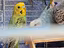 Immagine 1
